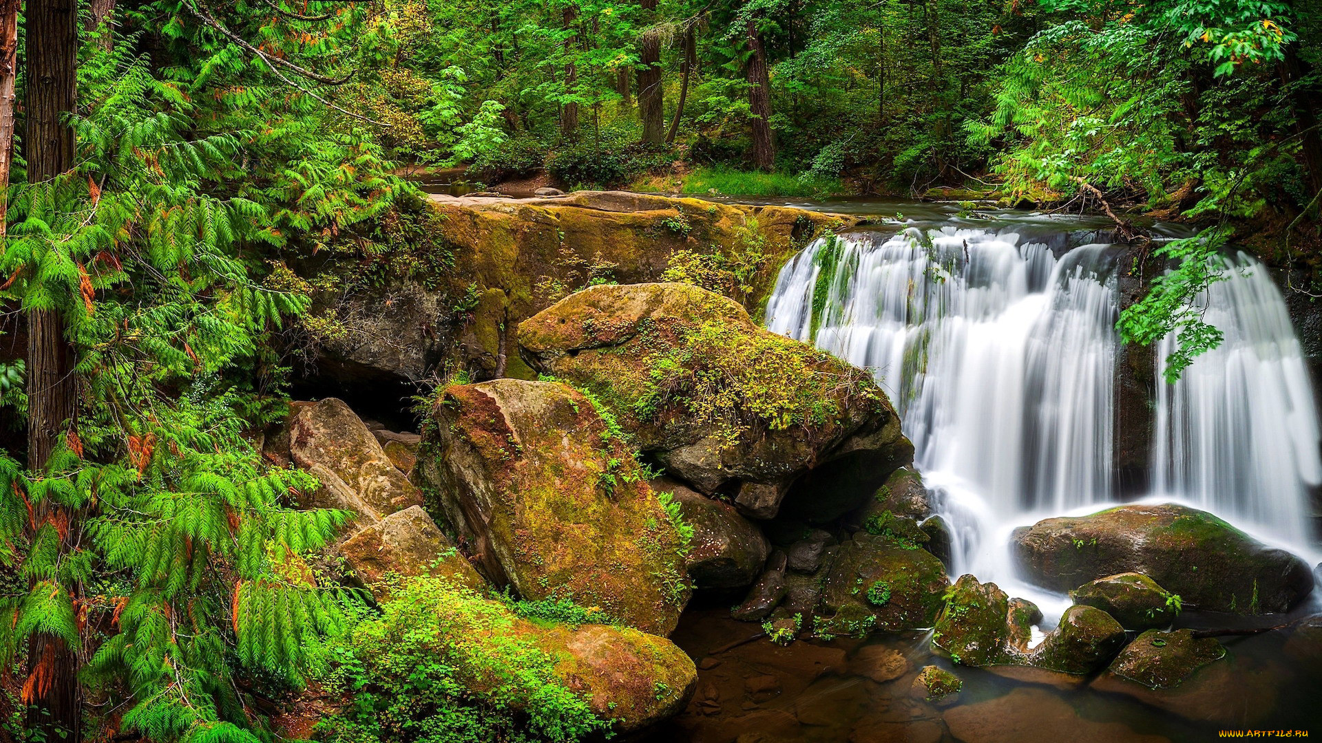 whatcom falls, usa, , , whatcom, falls